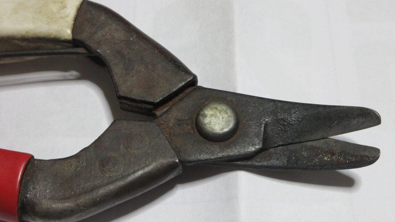 ミカンのハサミ