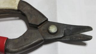 ミカンのハサミ