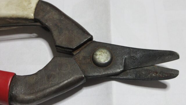 ミカンのハサミ