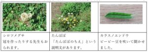 公園で自然を